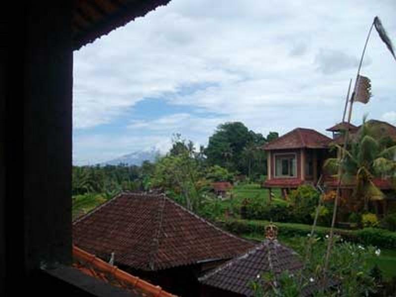 Bali Moon Guest House Убуд Екстер'єр фото